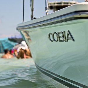 Cobia Boat in Water